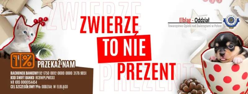 Nie kupuj zwierząt na prezent świąteczny