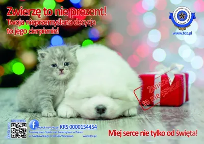 Przemyśl decyzję o adopcji zwierzęcia