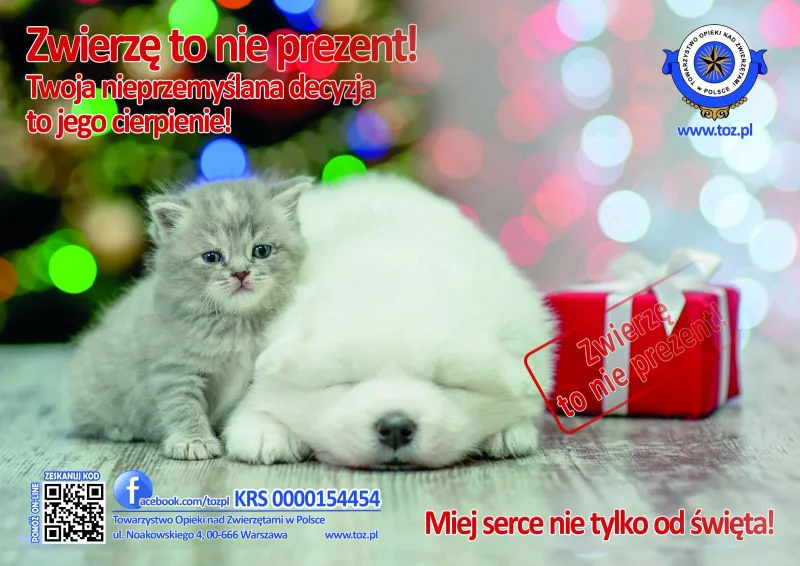 Przemyśl decyzję o adopcji zwierzęcia