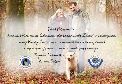 Wolontariat w schronisku w Celestynowie