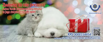 Zwierzę to nie prezent