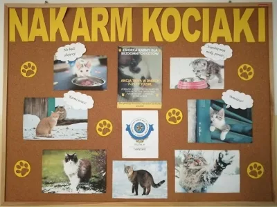 Podziękowania dla Przedszkola pod Smerfem