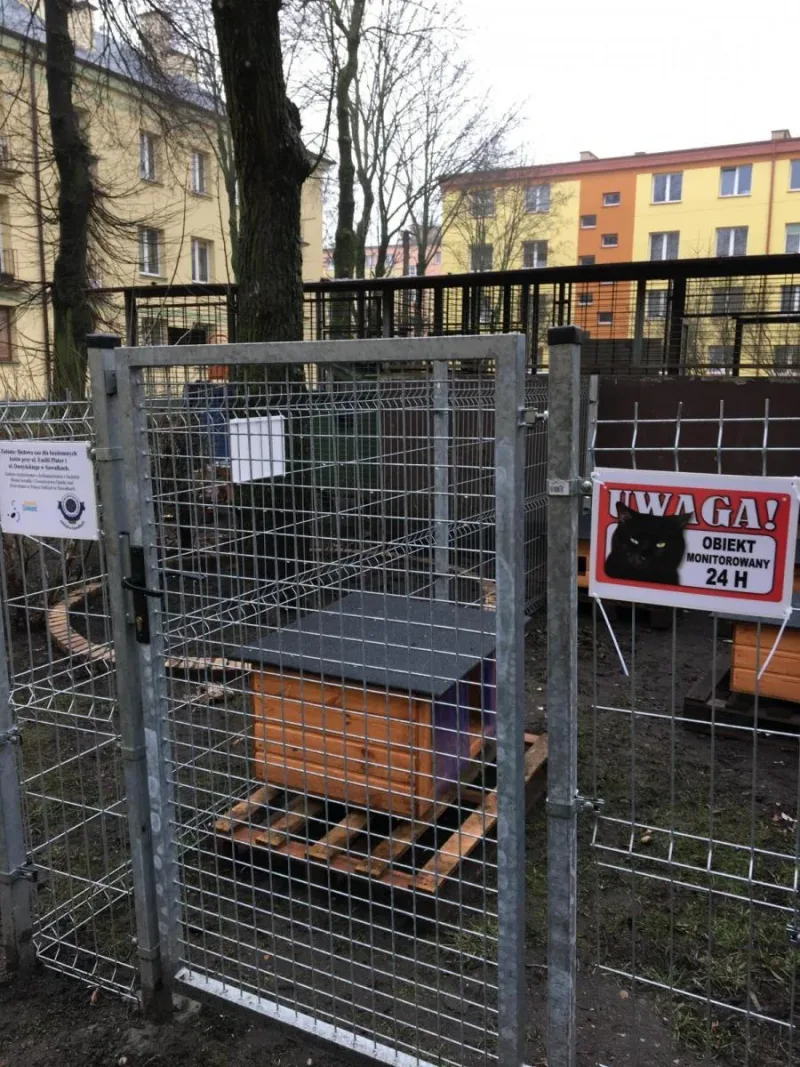 Nowe oazy dla kotów w Suwałkach