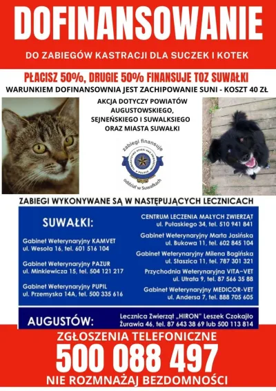 Dofinansowanie do kastracji w 2021 roku