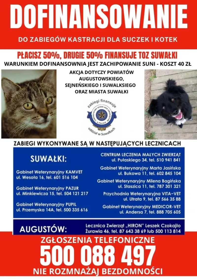 Dofinansowanie do kastracji w 2021 roku