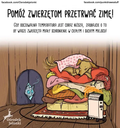 Pomoc zwierzętom w przetrwaniu zimy