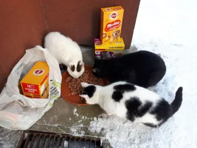 Podziękowania dla Mai za wsparcie naszych podopiecznych