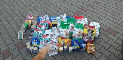 Podziękowania dla Szkoły Podstawowej w Tuchowie