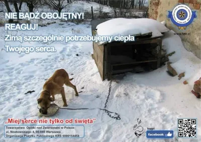 Jak pomóc zwierzętom podczas zimy