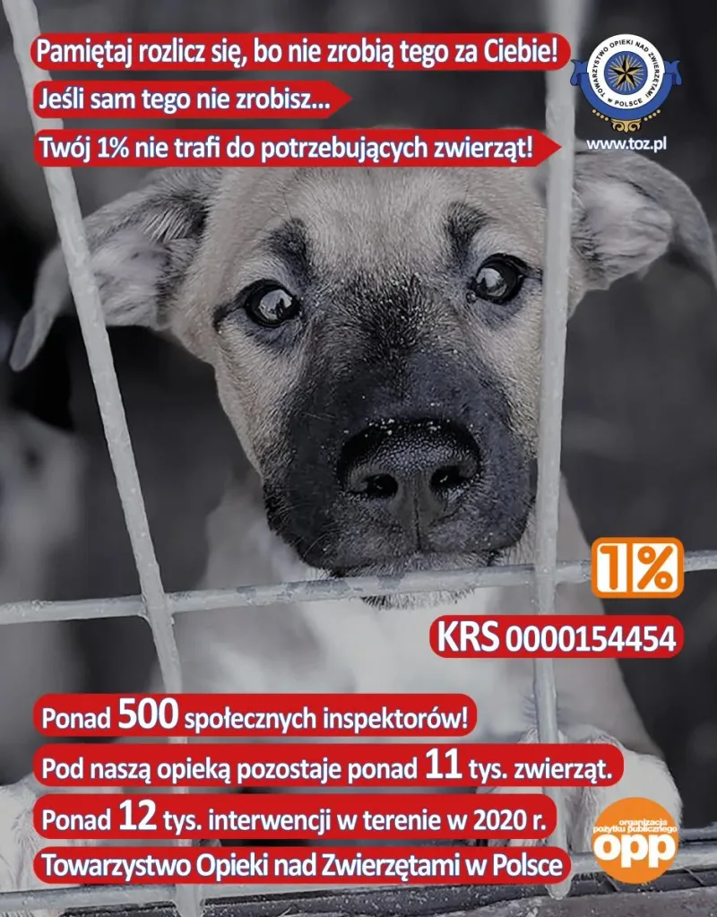 Działalność TOZ w 2020 roku