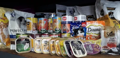 Podziękowania dla Szkoły Podstawowej nr 24 w Tarnowie