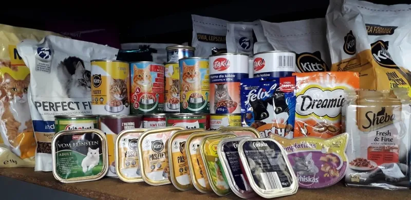 Podziękowania dla Szkoły Podstawowej nr 24 w Tarnowie