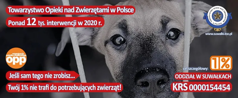 Podsumowanie działalności TOZ Polska w 2020 roku