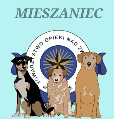 Mieszańce – najcudowniejsze psiaki?