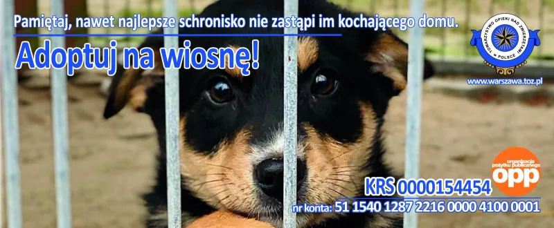 Kampania „Adoptujmy na wiosnę”