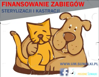 Akcja darmowych kastracji w Suwałkach