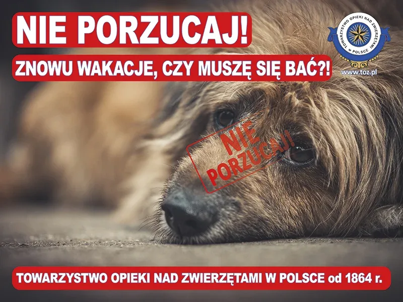 Kampania „Nie porzucaj” 2021: Znowu wakacje, czy muszę się bać?