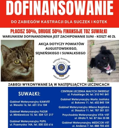 Program kastracji zwierząt w Suwałkach