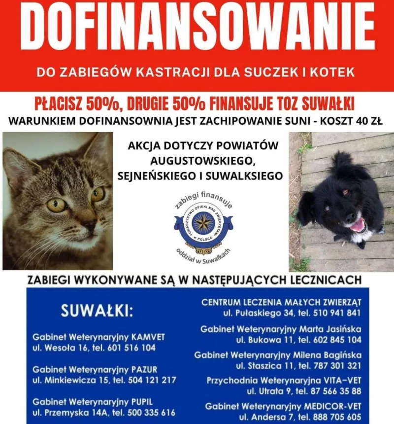 Program kastracji zwierząt w Suwałkach