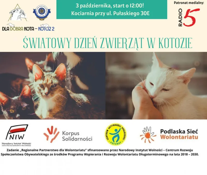 Światowy Dzień Zwierząt w KoTOZie