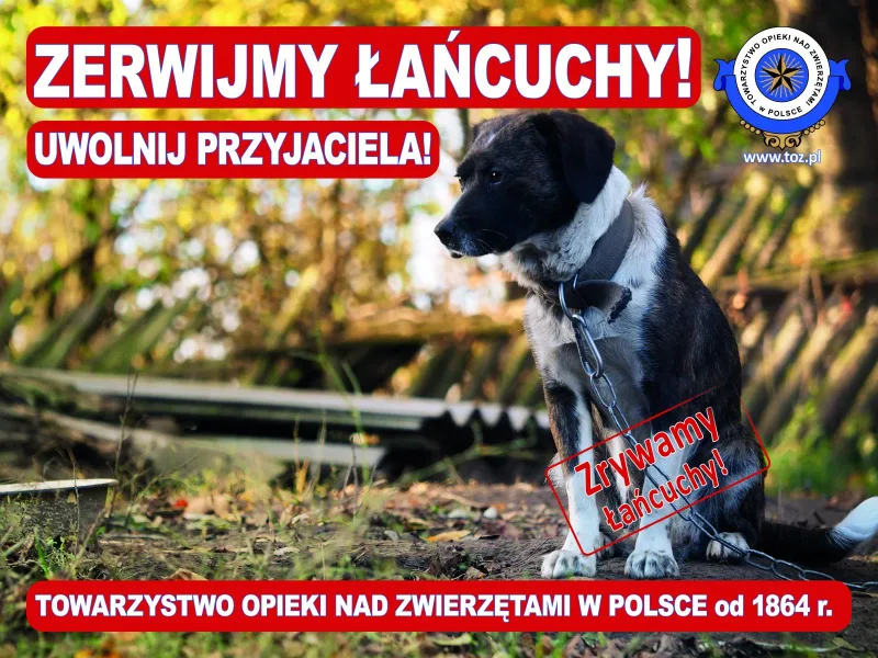 Kampania Zerwijmy Łańcuchy - Uwolnij Przyjaciela