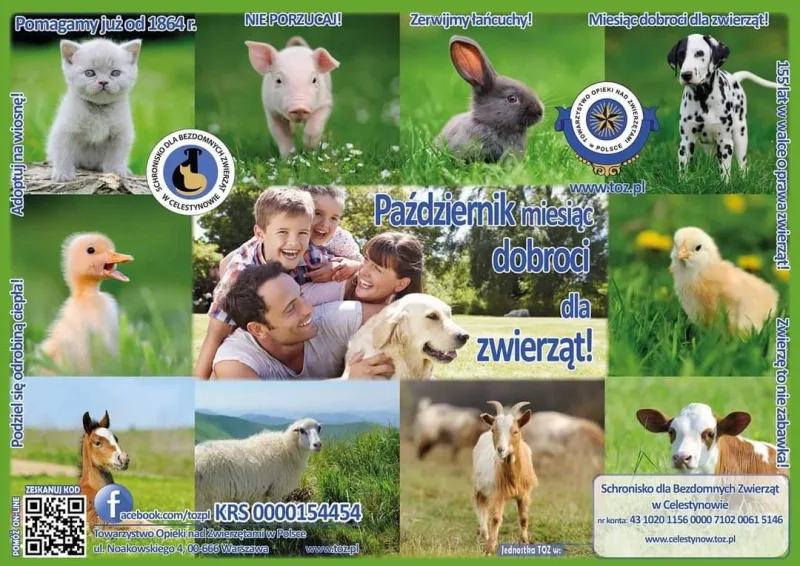 Październik jako miesiąc dobroci dla zwierząt