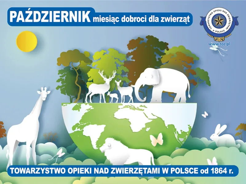 Październik miesiącem dobroci dla zwierząt