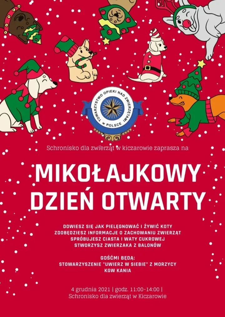 Mikołajkowy Dzień Otwarty w schronisku w Kiczarowie