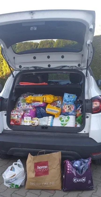 Podziękowania dla Szkoły Podstawowej nr 17 w Tarnowie