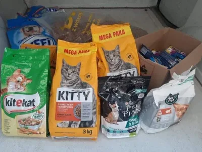 Podziękowania dla PB Dental za zbiórkę karmy