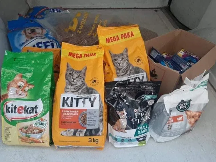 Podziękowania dla PB Dental za zbiórkę karmy