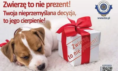 Zwierzę to nie prezent – przemyśl decyzję