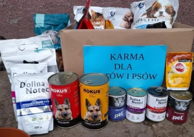 Podziękowania dla Szkoły Podstawowej nr 2 w Woli Rzędzińskiej