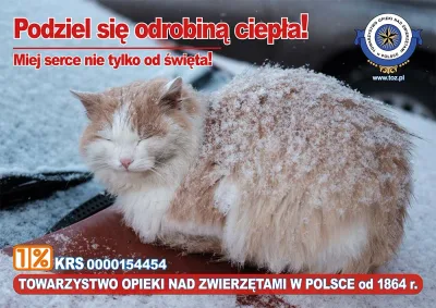 Prawna ochrona kotów i podziękowania za pomoc