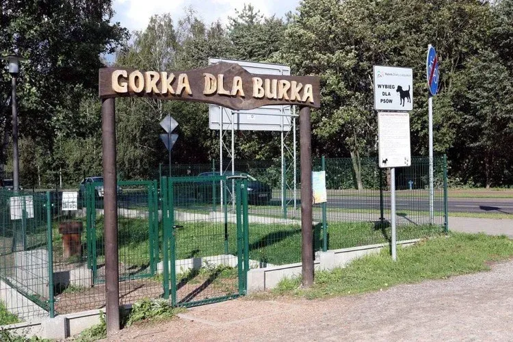 Planowany wybieg dla psów w Kaliszu