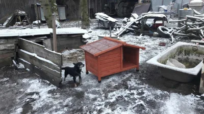 Podziękowania za budy dla psów