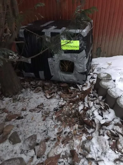 Podziękowania za pomoc kotom wolnożyjącym
