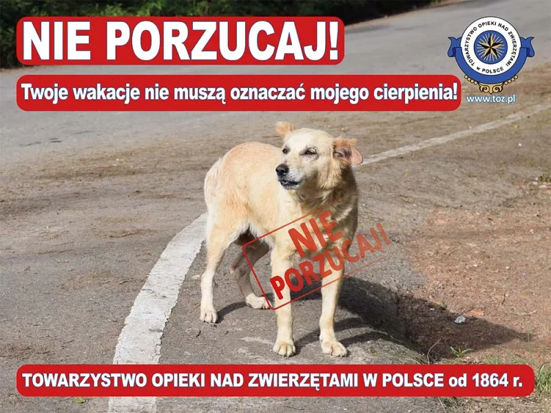 Kampania „Nie porzucaj” 2022