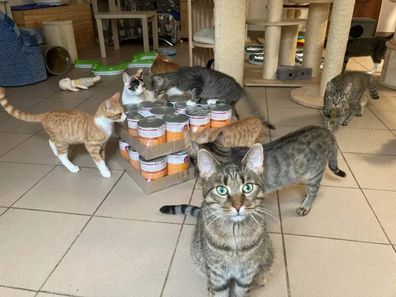 Podziękowania dla Dominiki i Marka za wsparcie
