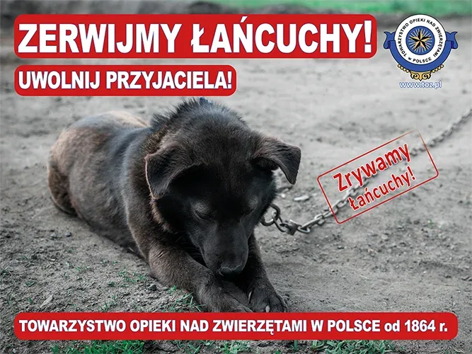 Zerwijmy łańcuchy, uwolnijmy psy z łańcuchów