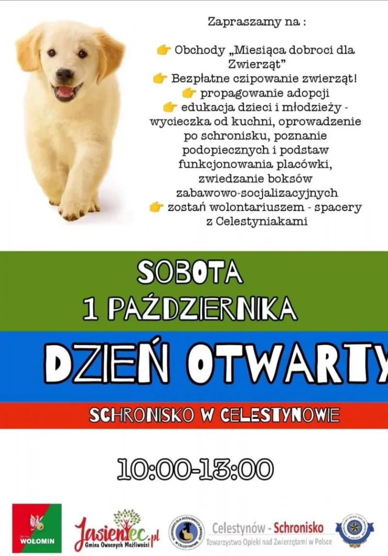 Dzień Otwarty w schronisku w Celestynowie