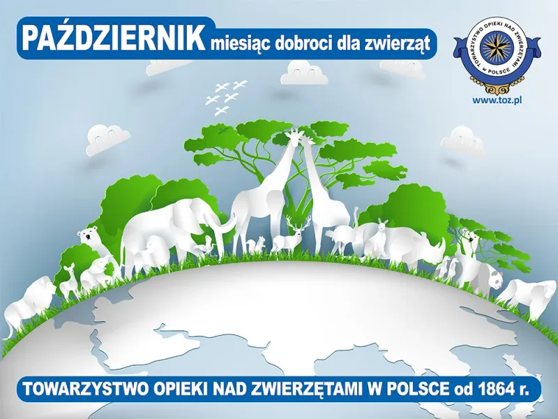 Październik - miesiąc dobroci dla zwierząt
