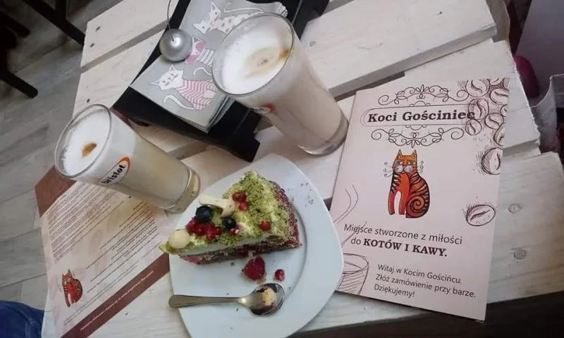 Cztery lata działalności kawiarni Koci Gościniec