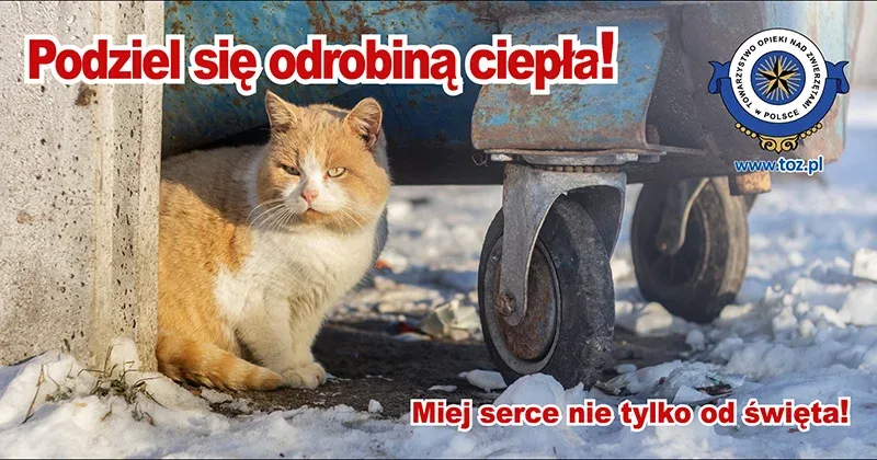 Podziękowania za pomoc zwierzętom w zimie