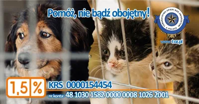 Działalność Towarzystwa Opieki nad Zwierzętami w 2022 roku