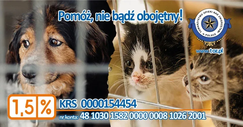 Działalność Towarzystwa Opieki nad Zwierzętami w 2022 roku