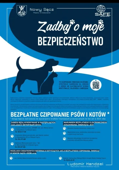 Bezpłatne czipowanie psów i kotów w Nowym Sączu
