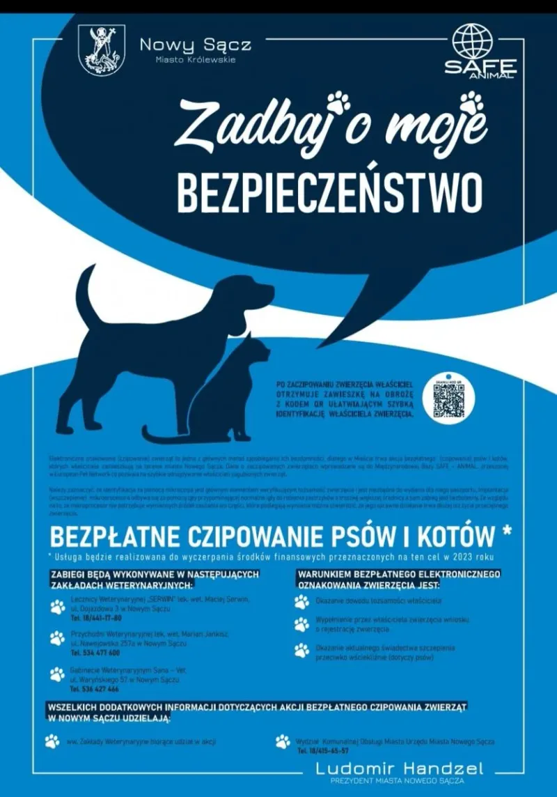 Bezpłatne czipowanie psów i kotów w Nowym Sączu