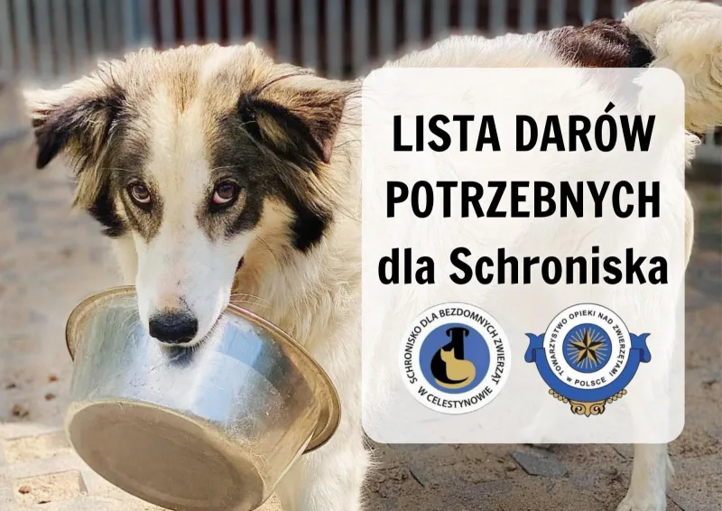 Lista darów potrzebnych schronisku w Celestynowie