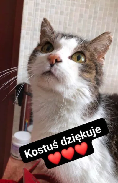 Podziękowania za wsparcie dla Kostusia